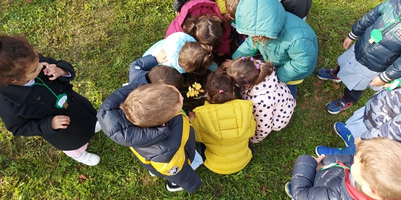 Festa dell’albero 2023: piantati 10 nuovi alberi alla scuola dell’infanzia a Figline di Via Piave. I bambini all'opera