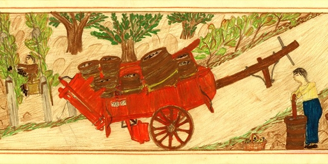 Disegno di un alunno della Scuola San Gersolè 06