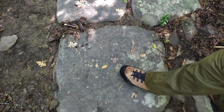 Antica Via da Raggioli a Vallombrosa: sui passi dell’Ecomuseo della Montagna Fiorentina