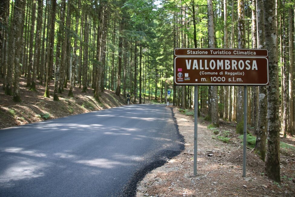 Vallombrosa La Foresta di Firenze (2)