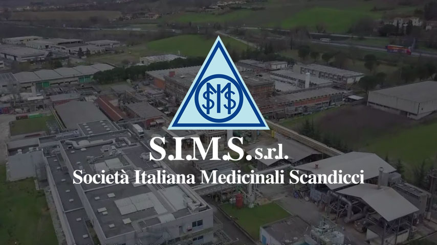 Video sims