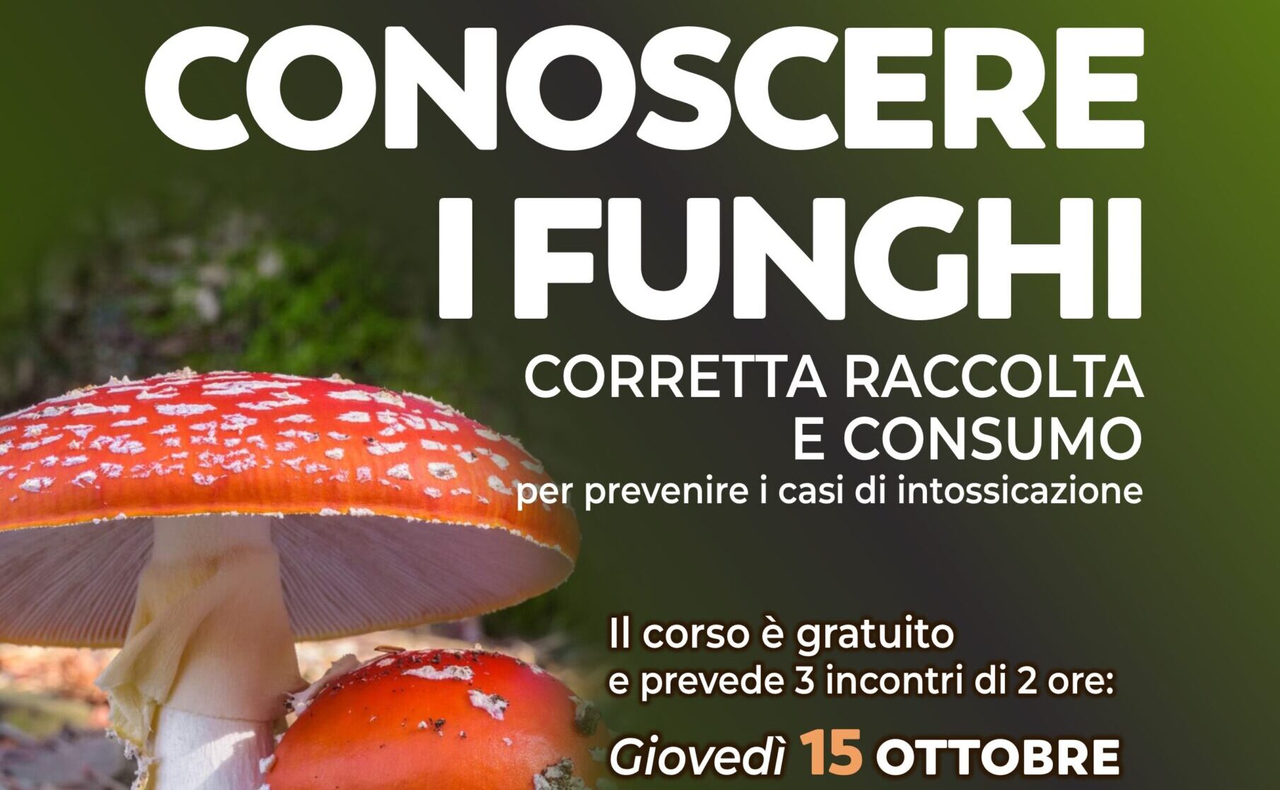 Locandina corso funghi