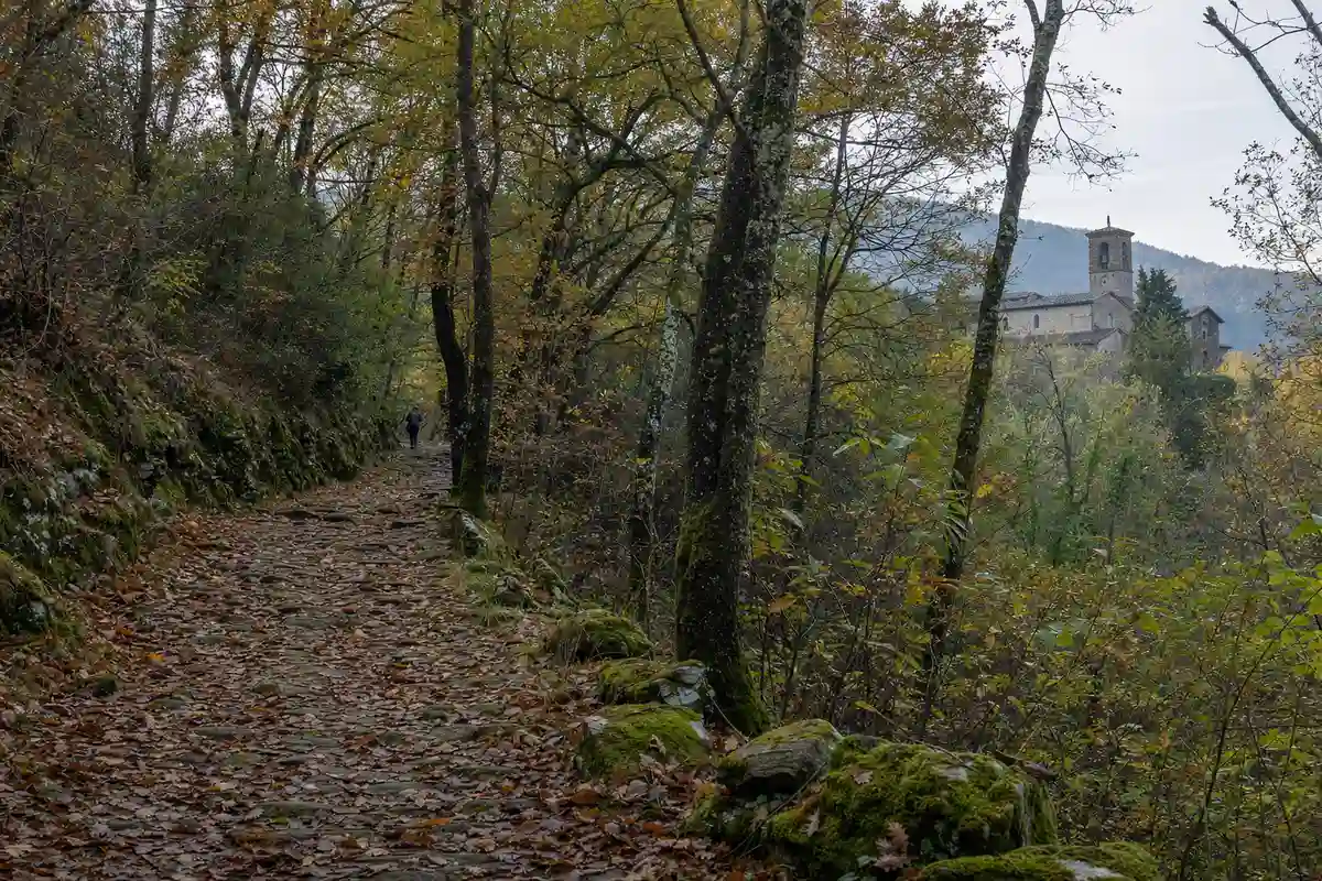 Sentiero di pietra nel bosco in autunno con una figura lontana e una chiesa con campanile sullo sfondo